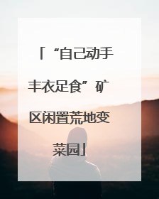 “自己动手丰衣足食”矿区闲置荒地变菜园